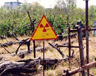 Экологи вновь собрали подписи против строительства АЭС в Буе