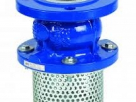 FOOT VALVES IN KOLKATA FOOT VALVES IN KOLKATA