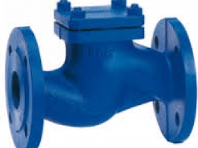 NON RETURN ( NRV ) VALVES SUPPLIERS IN KOLKATA NON RETURN ( NRV ) VALVES SUPPLIERS IN KOLKATA