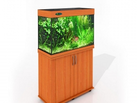 Магазин аквариумов ArovanAqua в Костроме. Купить аквариумы, террариумы, оборудование, рыбки Магазин аквариумов ArovanAqua в Костроме. Купить аквариумы, террариумы, оборудование, рыбки