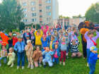 БЕСПЛАТНЫЙ ПРАЗДНИК В ВАШЕМ ДВОРЕ!