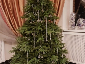 Ёлка с Хрусталём. Ёлка с Хрусталём.