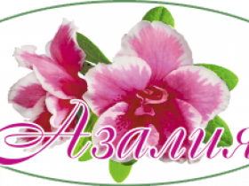 Азалия Азалия