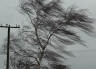 В Костроме снова ожидается сильный ветер
