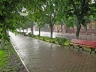 Костромскую область ожидает непогода