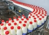 Губернатор поручил усилить контроль за качеством молочной продукции 