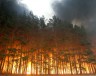 Пожары в Костромской области