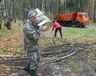 В Костромском регионе проходит Всероссийская акция «Живи, лес!»