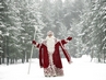 Кострома встретит Российского Деда Мороза 22 декабря