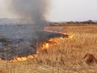 На территории города Костромы запрещен пал травы и сжигание мусора